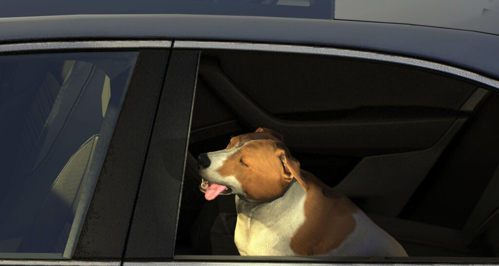 Pet Friendly Chauffeur London,